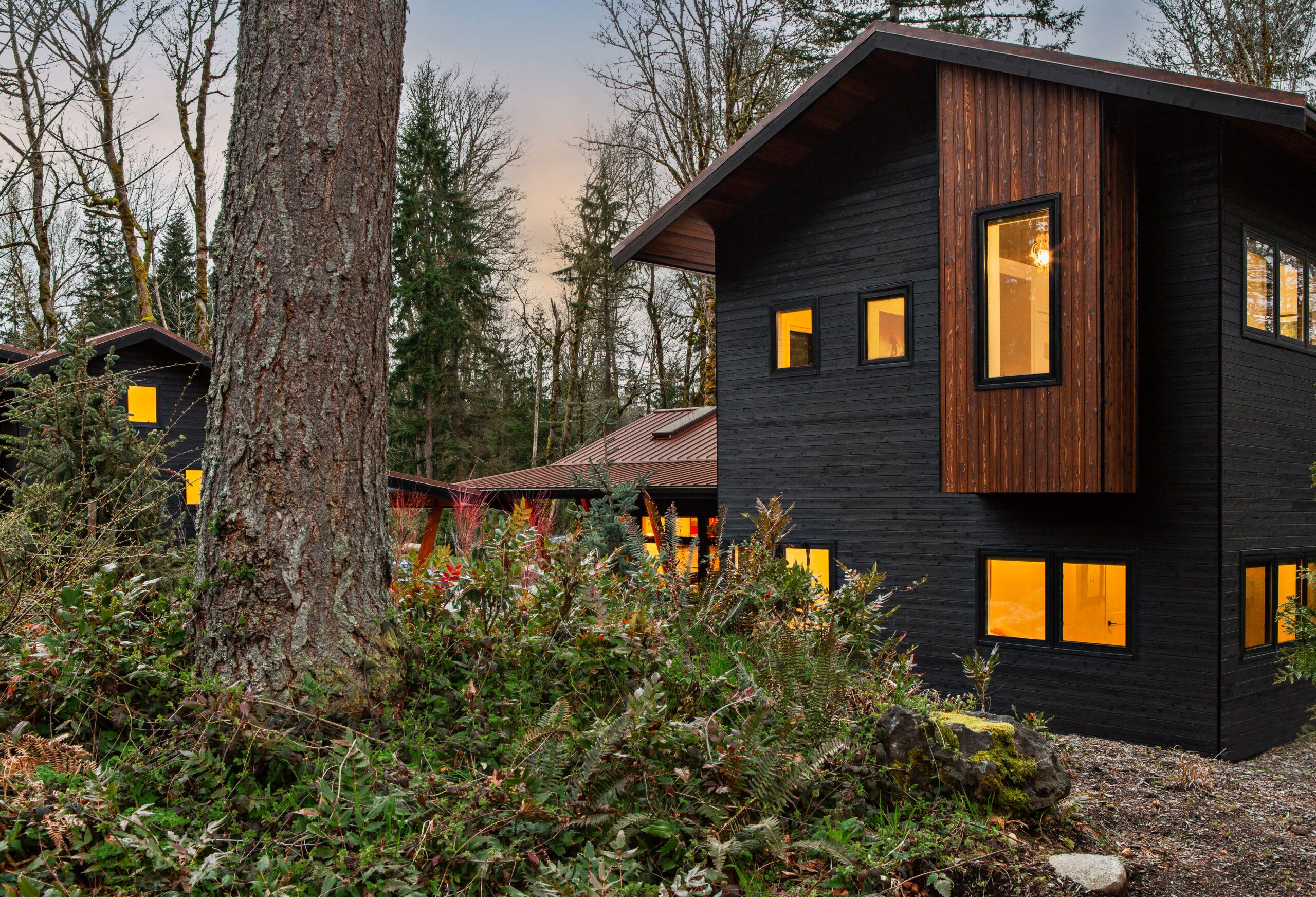 Grand Ridge | Shou Sugi Ban Portfolio | Nakamoto Forestry