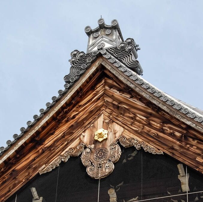 【新品】solol wood hinoki　Solworks NODEL solol hinoki | NODELdesign official